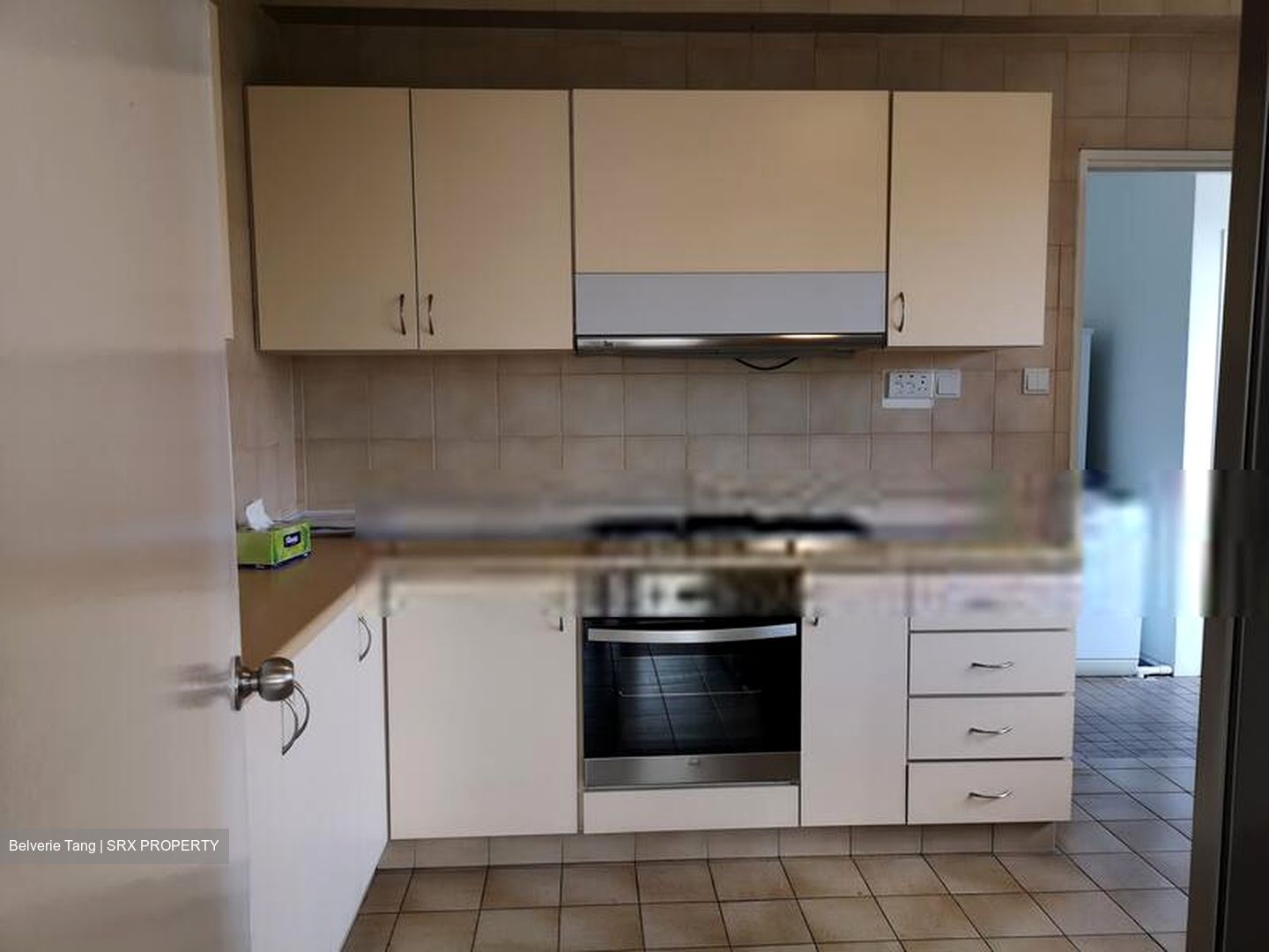 The Cairnhill (D9), Condominium #406653301